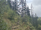 Radausflug nach Mariazell 2025_32